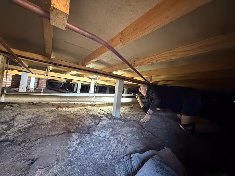 Subfloor timber pest and structural inspection Geelong